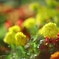 photo_2765042