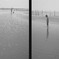 Film Photography