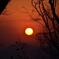 Red Sunset