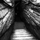 R0019538