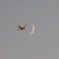 Fly to The Moon