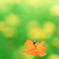 くすぐったいの。。♪