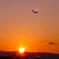 Twilight Flight