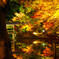 いつかの京都。