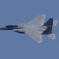 DSC01026 (1)