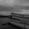 photo_2773329