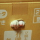 詰まったにゃ