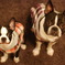 2009-09-25_19-12-27