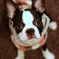 2009-09-25_19-16-57