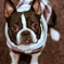2009-09-25_19-15-04