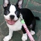 2009-08-22_16-29-59_1