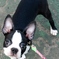 2009-08-22_16-29-52_1
