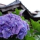 DSC01540_R