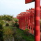 DSCF0733
