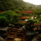 DSCF0747