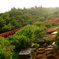 DSCF0749