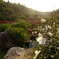 DSCF0767