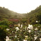 DSCF0768