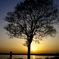 印旛沼の夕陽