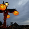 TDS HALLOWEEN ＾