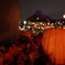TDS　＾＾ HALLOWEEN