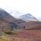 Denali
