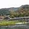 京都 渡月橋