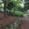秋の公園