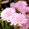 R0010606