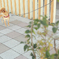 飼い主待ち