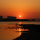 今日の夕日