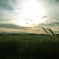 2013年9月19日「中秋の夕日？」