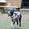 2009-09-26_14-48-02