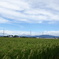 DSC00780
