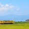田舎道を行く