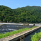 夏の朝