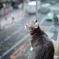 道玄坂から