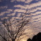 夕空