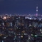 秋の雅