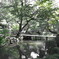 兼六園を歩く