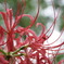 DSC00196