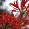DSC00180