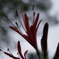 DSC00181