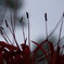 DSC00182