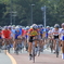 スポーツ祭東京ロードレース (2)