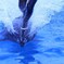 名港のDolphin サーファー