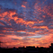 DSC_1952