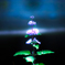 photo_2817143