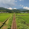 田園風景