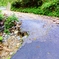 馬瀬林道路肩崩落